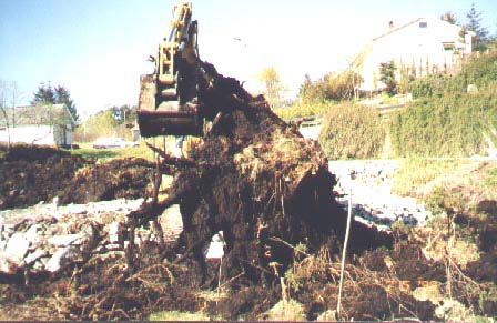 Cat312